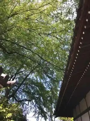宝珠山　観泉寺の庭園