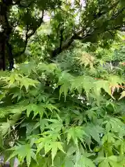 大山祇神社(福岡県)