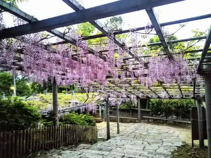 阿智神社(岡山県)