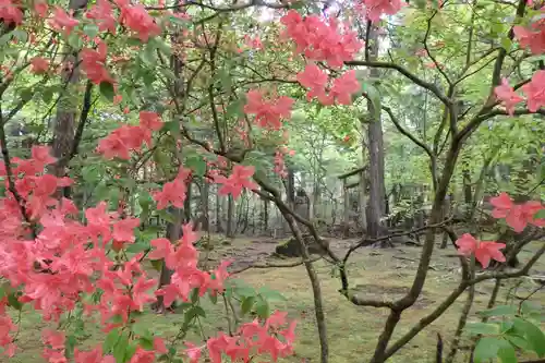 深山巴の宿の自然