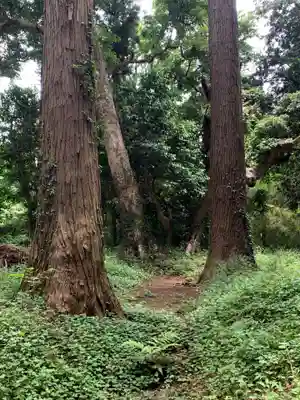 老尾神社(千葉県)