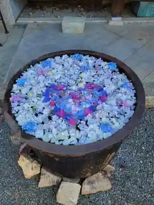 柳谷観音　楊谷寺(京都府)