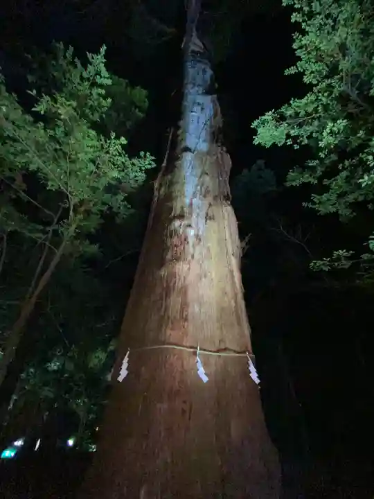 高千穂神社(宮崎県)
