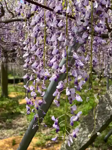 岩田神社(香川県)