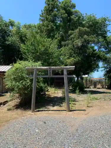 大杉神社(栃木県)