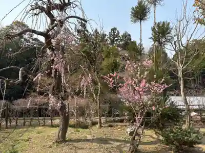 鏑射寺(兵庫県)