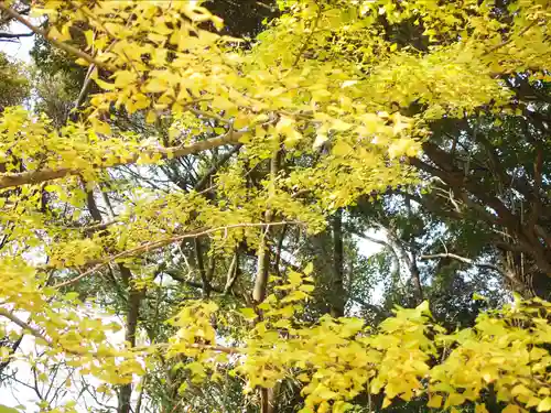 杉尾神社(和歌山県)