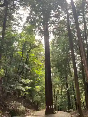 元伊勢内宮 皇大神社(京都府)