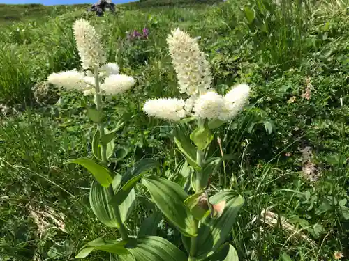 月山神社本宮の自然