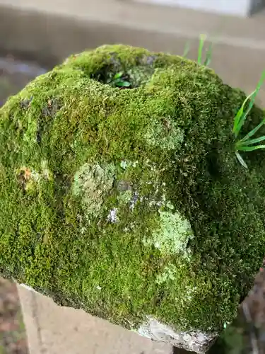 淺間神社（忍野八海）の自然