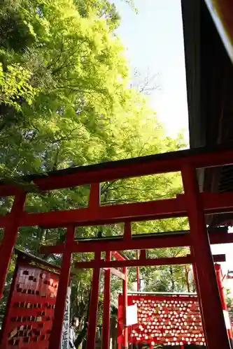 三光稲荷神社の鳥居