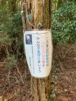 松島神社(千葉県)