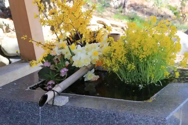 高司神社〜むすびの神の鎮まる社〜の手水舎