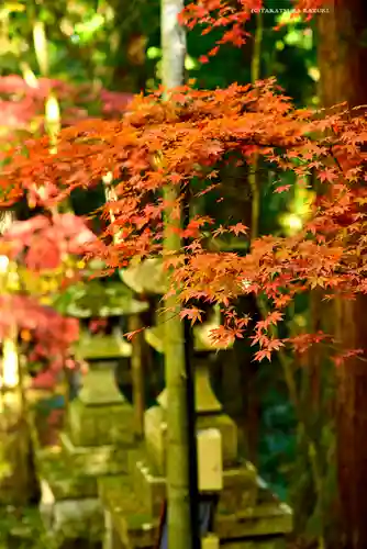 最乗寺（道了尊）(神奈川県)