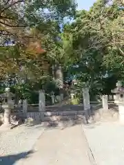 菟足神社の建物その他