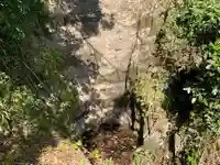 神明神社の自然