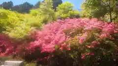 秋葉山本宮 秋葉神社 上社(静岡県)