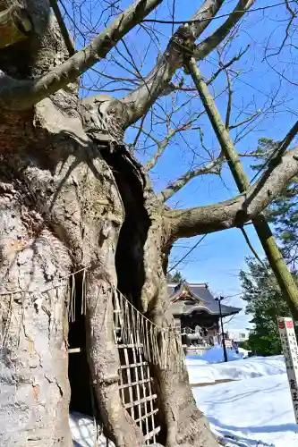 金峯神社(新潟県)