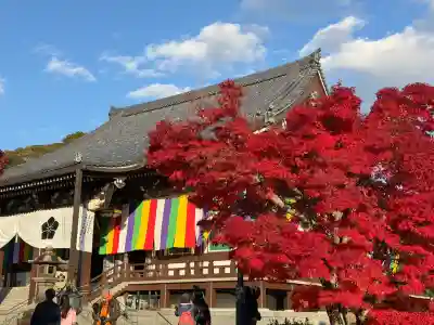  智積院(京都府)