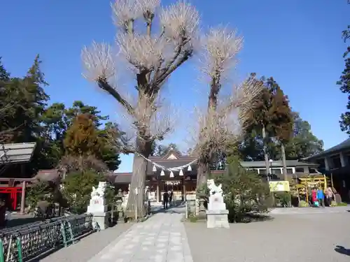 亀ケ池八幡宮の自然