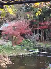 本土寺の庭園