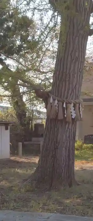 稲荷神社(宮城県)