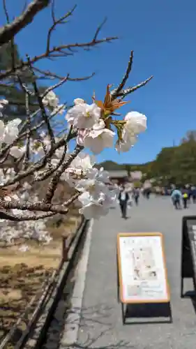 仁和寺(京都府)