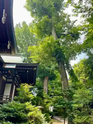 奥澤神社(東京都)
