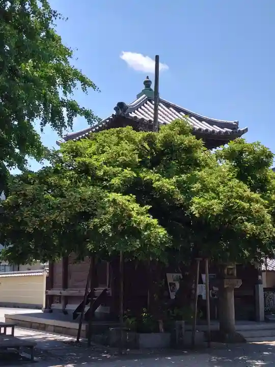 恵光院(福岡県)