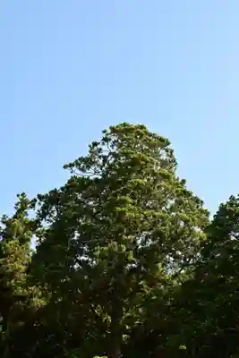 上一宮大粟神社(徳島県)