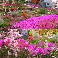 寿量山 速成寺の自然