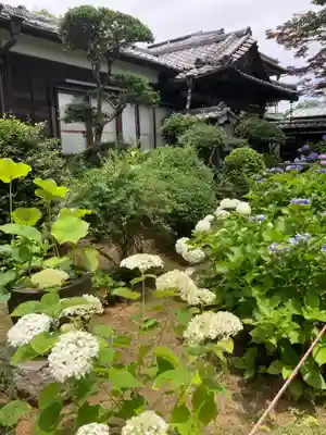妙楽寺(神奈川県)