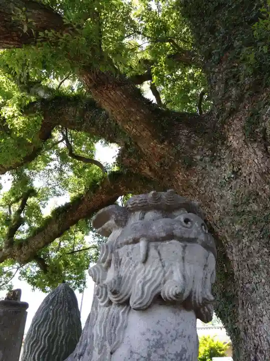 上代阿蘇神社(熊本県)