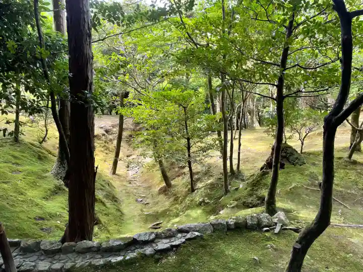 慈照寺(慈照禅寺・銀閣寺)(京都府)