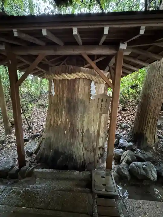 大神神社(奈良県)