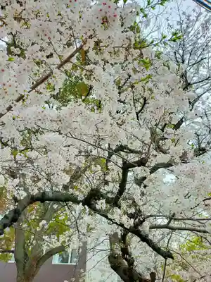 本弘寺(和歌山県)