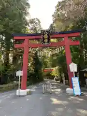 大崎八幡宮の鳥居