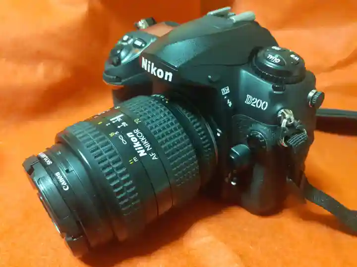 増上寺(東京都)