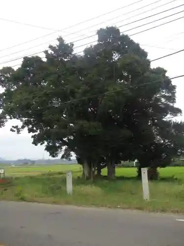 裏つくば、恋瀬川沿いの神社(茨城県)