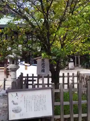 白峯神宮(京都府)