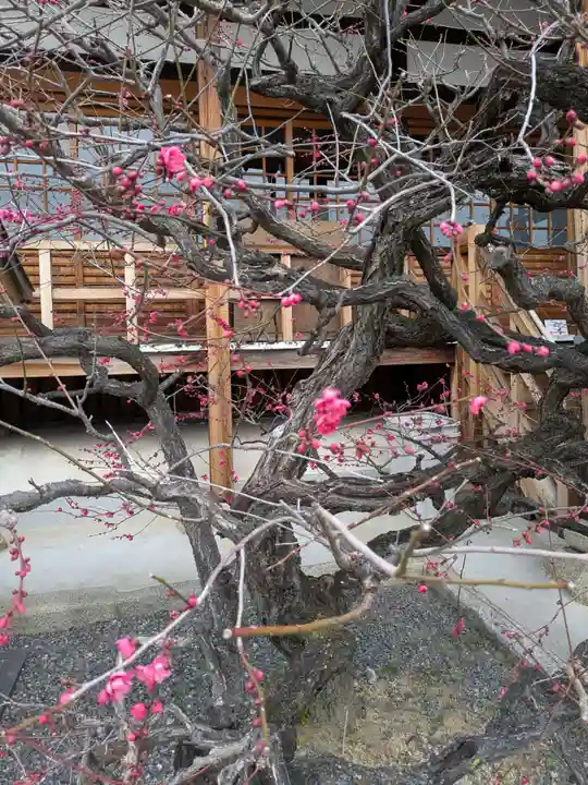 華光寺(京都府)