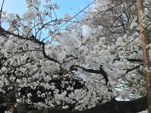 靖國神社(東京都)