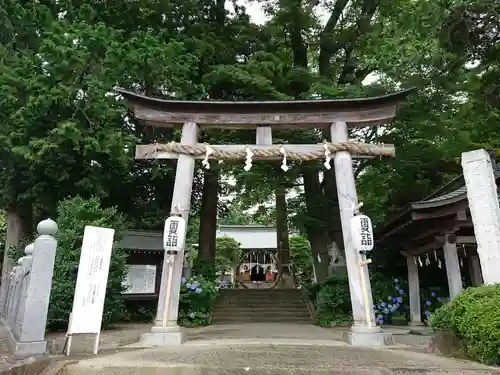 比々多神社の鳥居