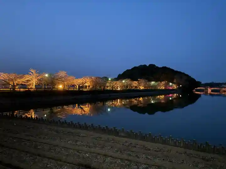 宇佐神社の{uncategorized: "未分類", other: "その他", undefined: "問題あり", building: "その他建物", grave: "お墓", sacred_gate: "鳥居", guardian: "狛犬", statue: "像", buddha: "仏像", history: "歴史", nature: "自然", garden: "庭園", animal: "動物", pagoda: "塔", temizu: "手水舎", mountain_gate: "山門・神門", sanctuary: "本殿・本堂", subordinate: "末社・摂社", art: "芸術", scenery: "景色", jizo: "地蔵", ema: "絵馬", goshuin: "御朱印", omikuji: "おみくじ", items: "授与品その他", amulet: "お守り", goshuincho: "御朱印帳", eats: "食事", festival: "お祭り", votive_dance: "神楽", shichigosan: "七五三参", wedding: "結婚式", experience: "体験その他", initially: "初詣", around: "周辺", anti_infection: "感染症対策"}