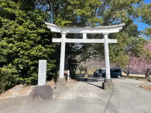 川津来宮神社(静岡県)