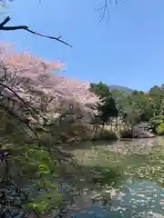 高鴨神社(奈良県)