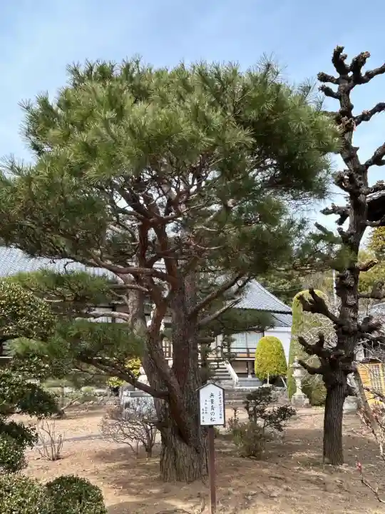 興善寺の{uncategorized: "未分類", other: "その他", undefined: "問題あり", building: "その他建物", grave: "お墓", sacred_gate: "鳥居", guardian: "狛犬", statue: "像", buddha: "仏像", history: "歴史", nature: "自然", garden: "庭園", animal: "動物", pagoda: "塔", temizu: "手水舎", mountain_gate: "山門・神門", sanctuary: "本殿・本堂", subordinate: "末社・摂社", art: "芸術", scenery: "景色", jizo: "地蔵", ema: "絵馬", goshuin: "御朱印", omikuji: "おみくじ", items: "授与品その他", amulet: "お守り", goshuincho: "御朱印帳", eats: "食事", festival: "お祭り", votive_dance: "神楽", shichigosan: "七五三参", wedding: "結婚式", experience: "体験その他", initially: "初詣", around: "周辺", anti_infection: "感染症対策"}