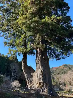 月瀬神社(長野県)