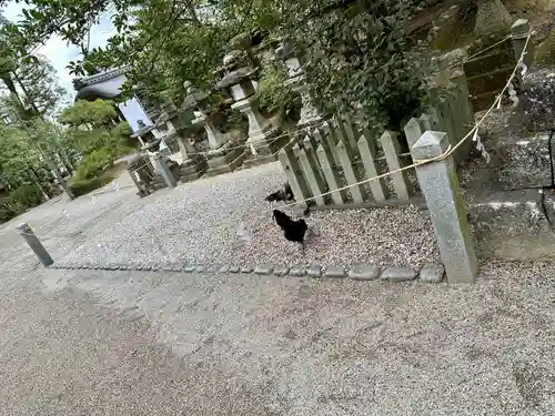 石上神宮(奈良県)