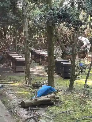 廣瀬大社(奈良県)